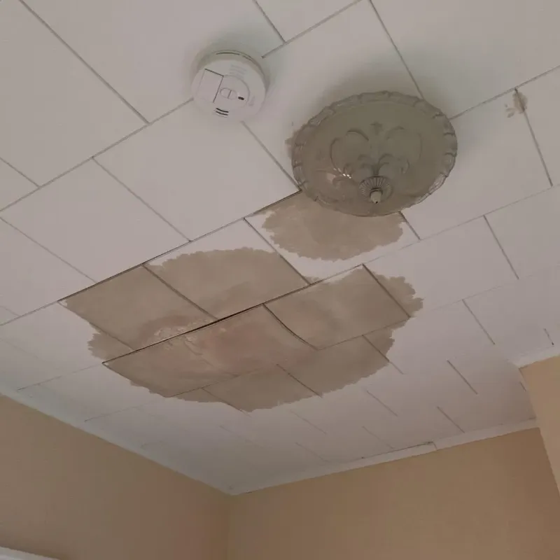 Ceiling Water Damage Repair in McDonald, PA