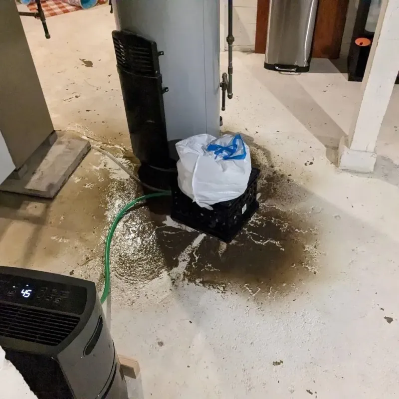 Sewage Backup Cleanup Service in McDonald, PA